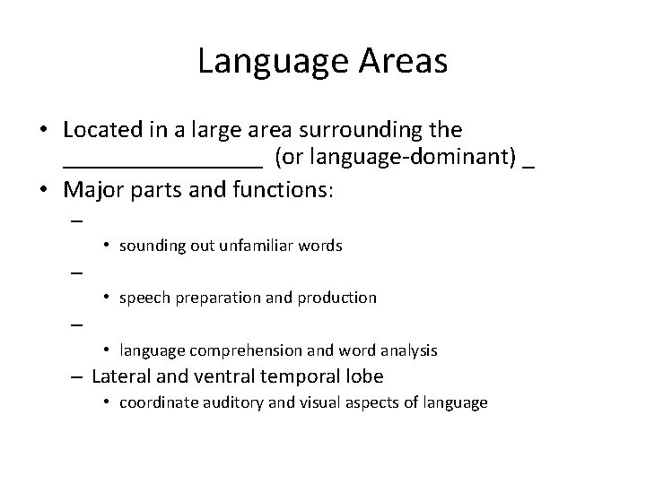 Language Areas • Located in a large area surrounding the ________ (or language-dominant) _