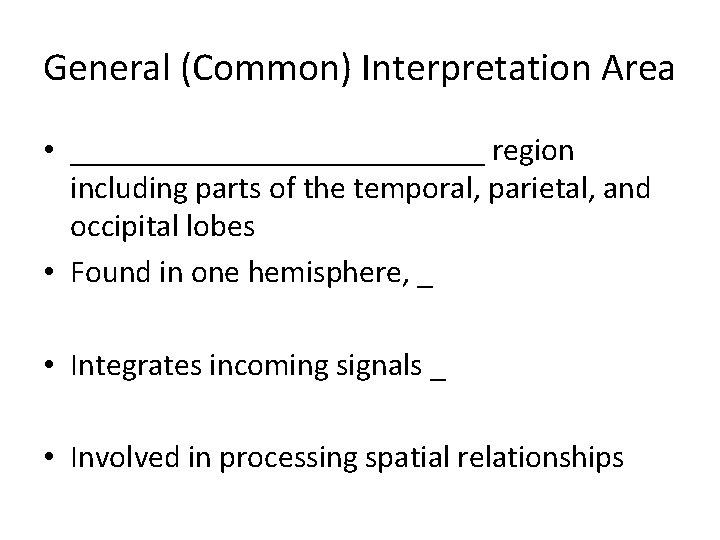 General (Common) Interpretation Area • _____________ region including parts of the temporal, parietal, and