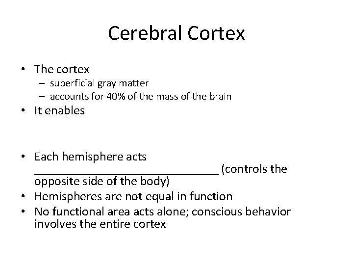 Cerebral Cortex • The cortex – superficial gray matter – accounts for 40% of