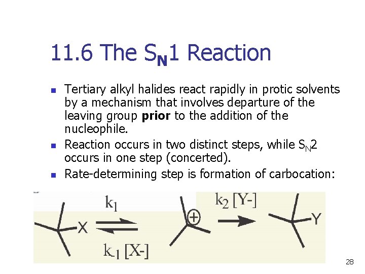 11. 6 The SN 1 Reaction n Tertiary alkyl halides react rapidly in protic