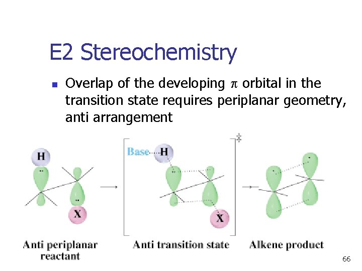 E 2 Stereochemistry n Overlap of the developing orbital in the transition state requires