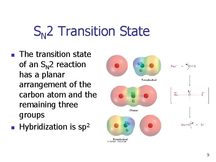 SN 2 Transition State n n The transition state of an SN 2 reaction