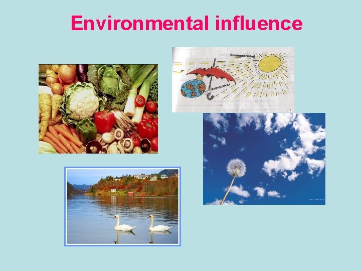 Environmental influence 