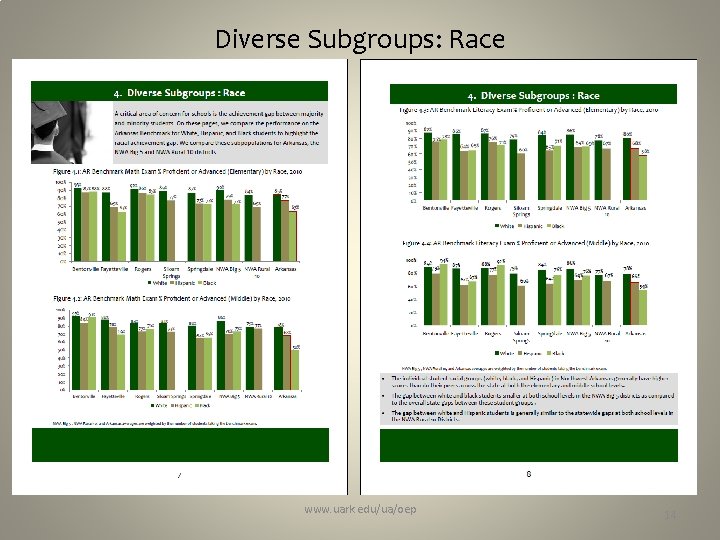 Diverse Subgroups: Race www. uark. edu/ua/oep 14 