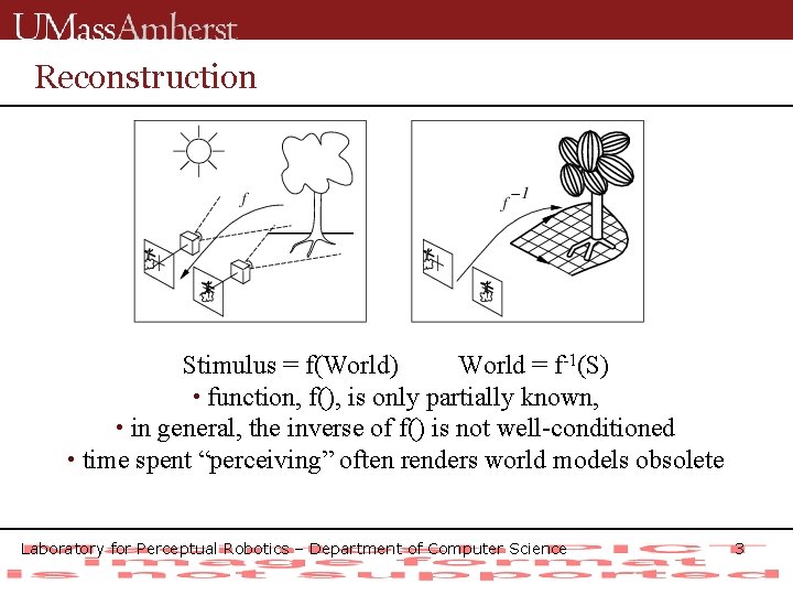 Reconstruction Stimulus = f(World) World = f-1(S) • function, f(), is only partially known,