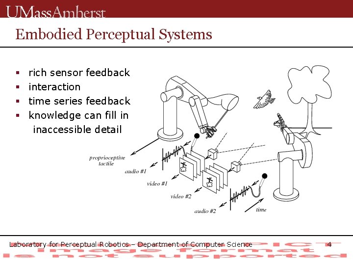 Embodied Perceptual Systems § § rich sensor feedback interaction time series feedback knowledge can