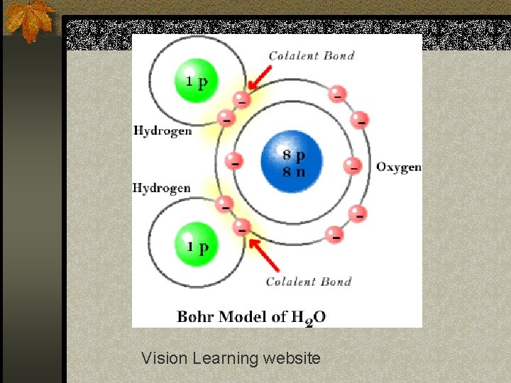 Vision Learning website 