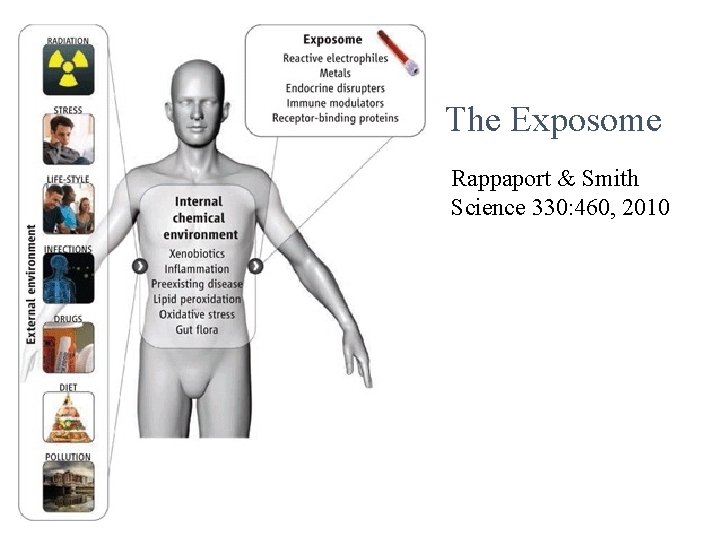 The Exposome Rappaport & Smith Science 330: 460, 2010 