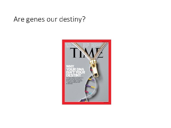 Are genes our destiny? 