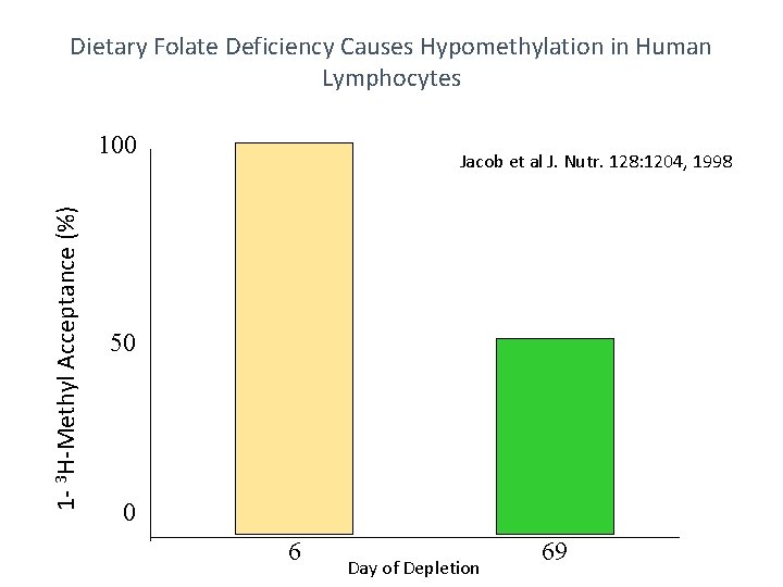 Dietary Folate Deficiency Causes Hypomethylation in Human Lymphocytes 1 - 3 H-Methyl Acceptance (%)