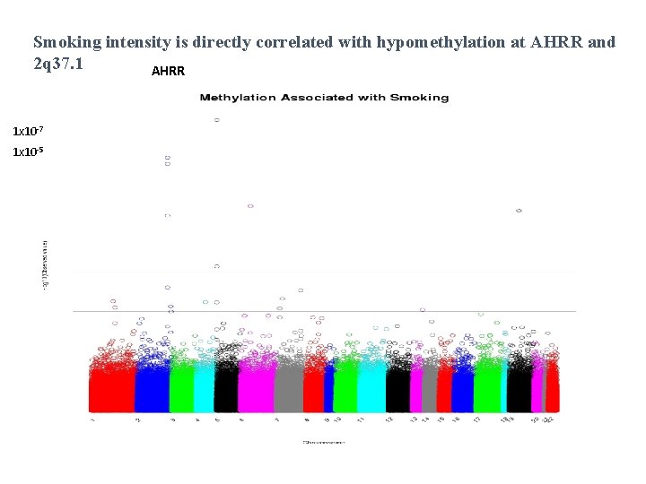 Smoking intensity is directly correlated with hypomethylation at AHRR and 2 q 37. 1