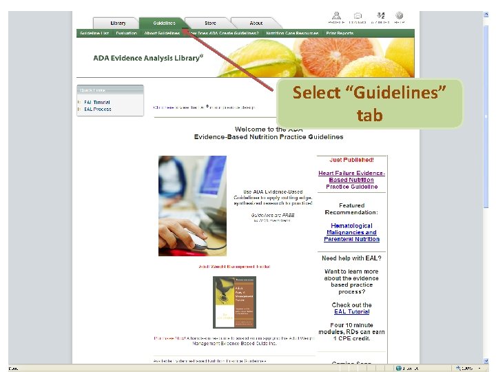 Select “Guidelines” tab 