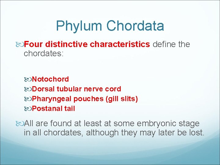 Phylum Chordata Four distinctive characteristics define the chordates: Notochord Dorsal tubular nerve cord Pharyngeal