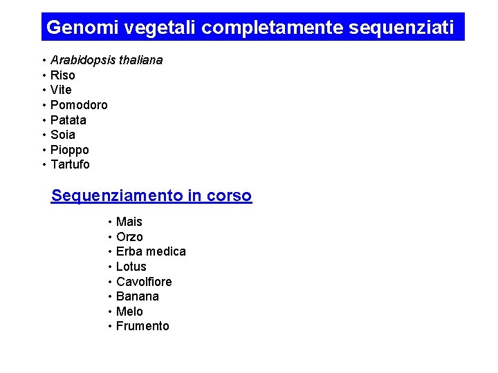 Genomi vegetali completamente sequenziati • Arabidopsis thaliana • Riso • Vite • Pomodoro •