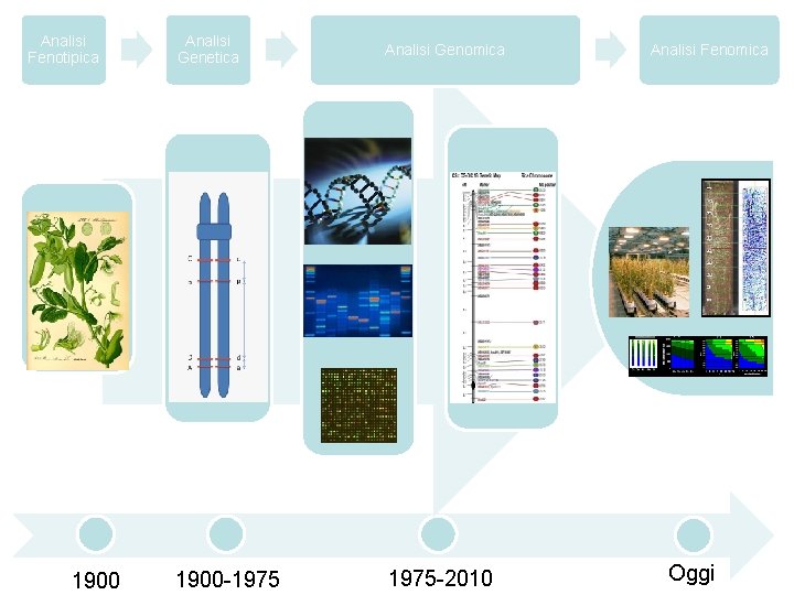 Analisi Fenotipica 1900 Analisi Genetica Analisi Genomica 1900 -1975 -2010 Analisi Fenomica Oggi 