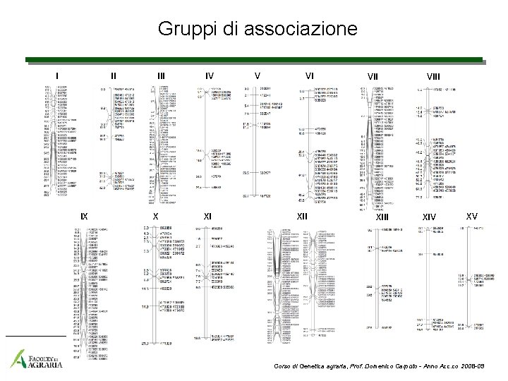 Gruppi di associazione I II IX III X IV XI V VI XII VII