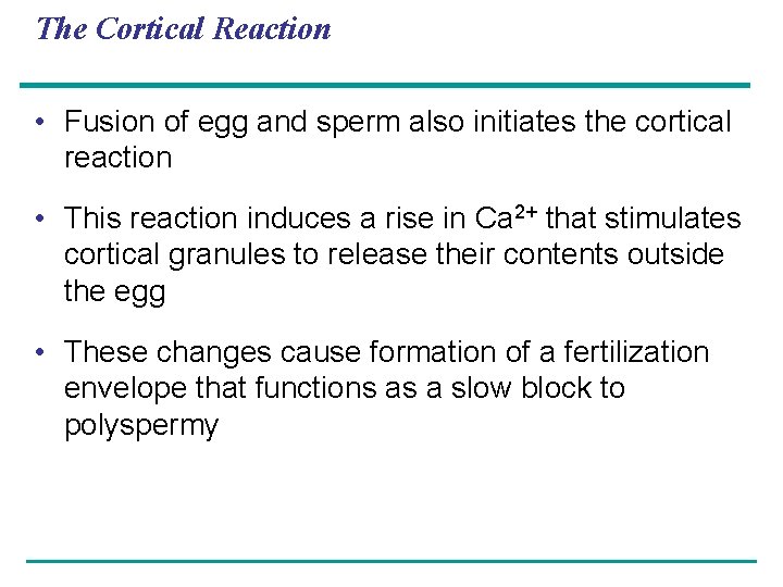 The Cortical Reaction • Fusion of egg and sperm also initiates the cortical reaction