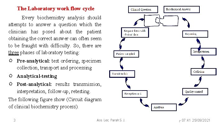 The Laboratory work flow cycle Every biochemistry analysis should attempts to answer a question