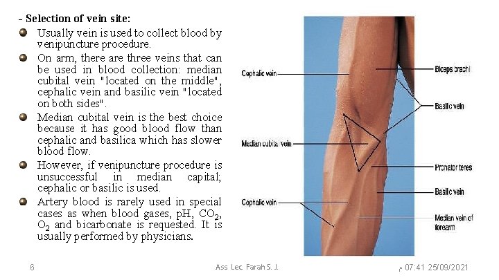 - Selection of vein site: Usually vein is used to collect blood by venipuncture