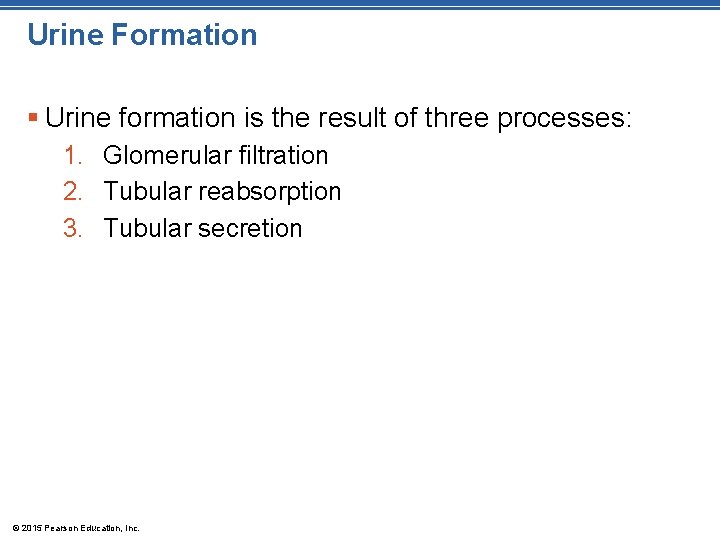 Urine Formation § Urine formation is the result of three processes: 1. Glomerular filtration