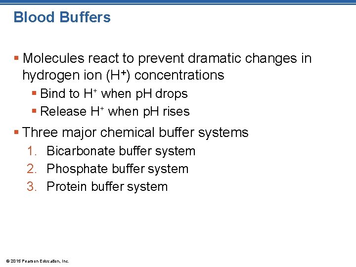 Blood Buffers § Molecules react to prevent dramatic changes in hydrogen ion (H+) concentrations
