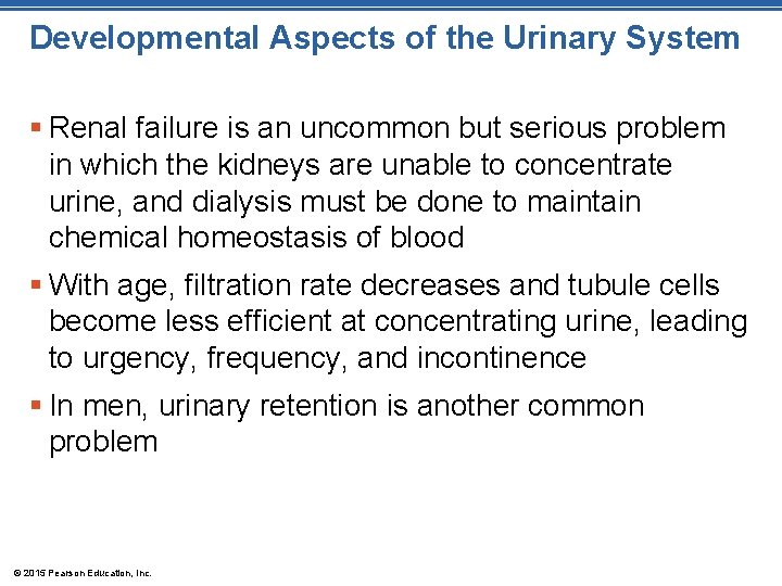 Developmental Aspects of the Urinary System § Renal failure is an uncommon but serious