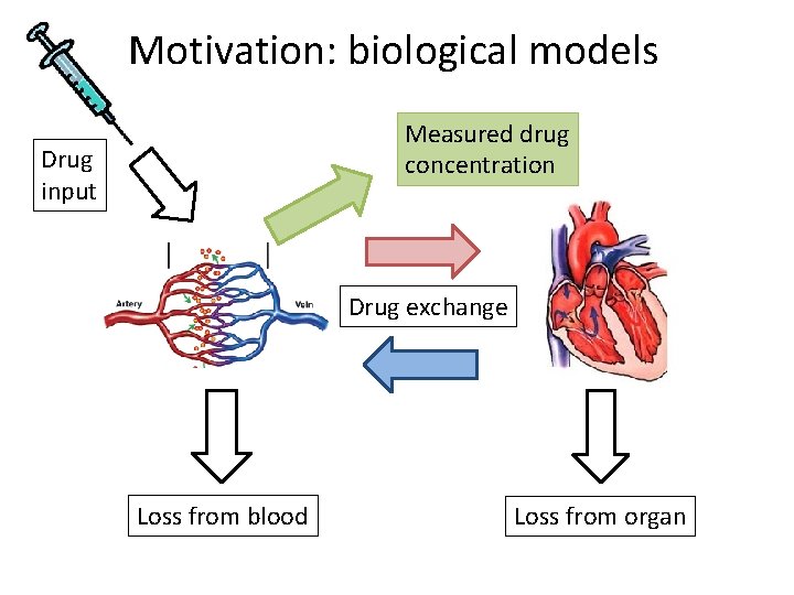 Motivation: biological models Measured drug concentration Drug input Drug exchange Loss from blood Loss