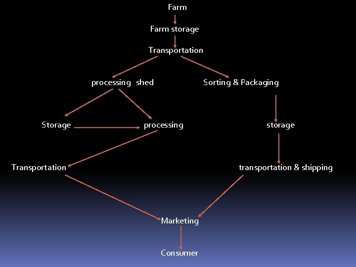 Farm storage Transportation processing shed Storage Sorting & Packaging processing Transportation storage transportation &