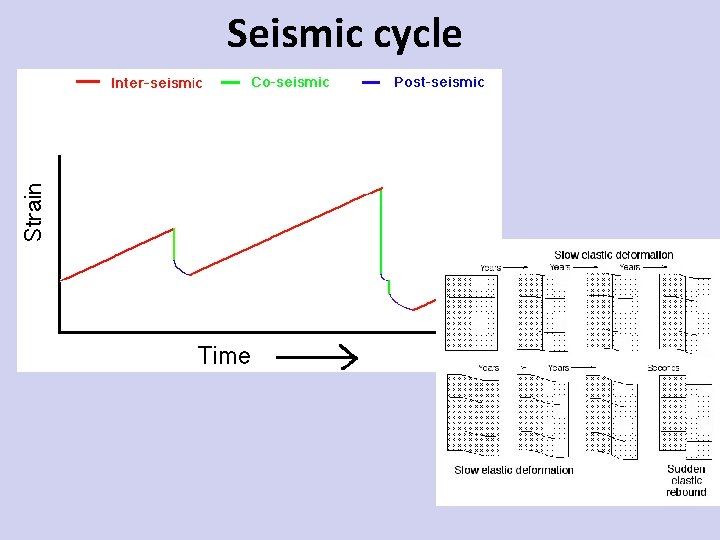 Seismic cycle 