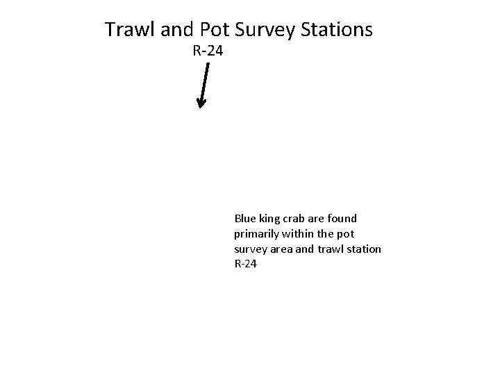 Trawl and Pot Survey Stations R-24 Blue king crab are found primarily within the