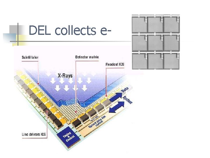 DEL collects e- 