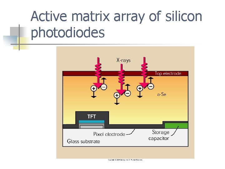 Active matrix array of silicon photodiodes 
