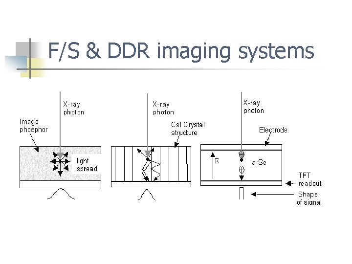 F/S & DDR imaging systems 