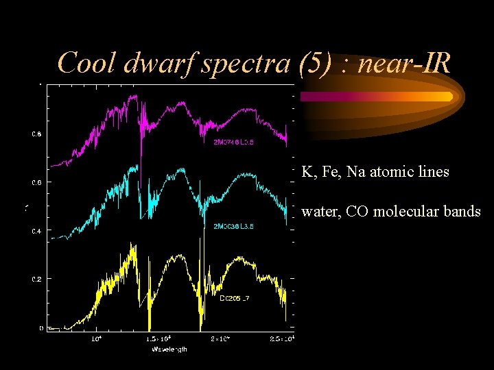 Cool dwarf spectra (5) : near-IR K, Fe, Na atomic lines water, CO molecular