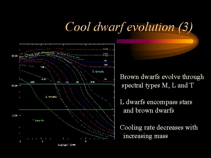 Cool dwarf evolution (3) Brown dwarfs evolve through spectral types M, L and T