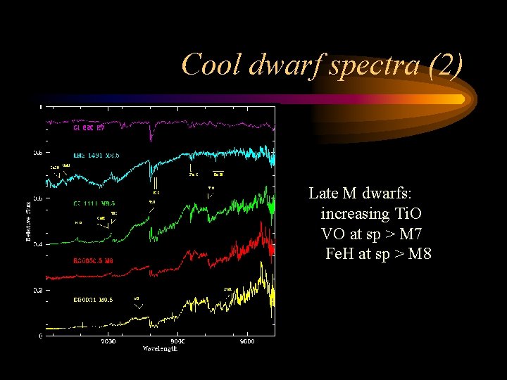Cool dwarf spectra (2) Late M dwarfs: increasing Ti. O VO at sp >