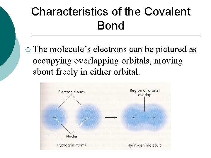 Characteristics of the Covalent Bond ¡ The molecule’s electrons can be pictured as occupying