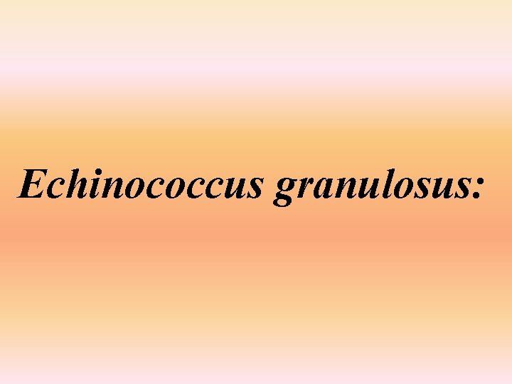 Echinococcus granulosus: 