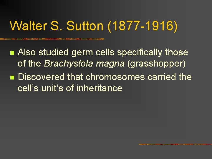 Walter S. Sutton (1877 -1916) n n Also studied germ cells specifically those of