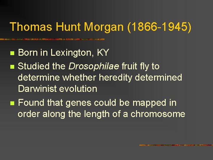 Thomas Hunt Morgan (1866 -1945) n n n Born in Lexington, KY Studied the