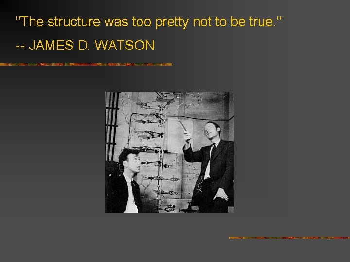 "The structure was too pretty not to be true. " -- JAMES D. WATSON