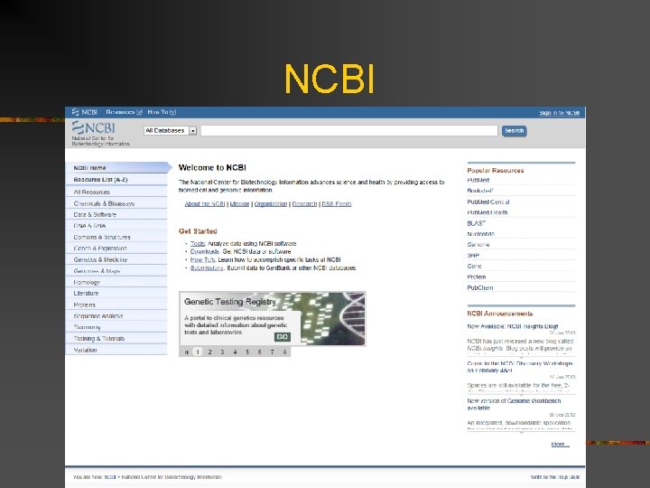 NCBI 