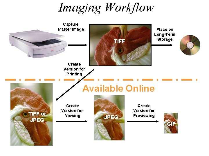 Imaging Workflow Capture Master Image TIFF Place on Long-Term Storage Create Version for Printing