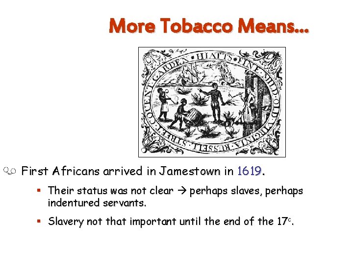 More Tobacco Means… First Africans arrived in Jamestown in 1619. § Their status was