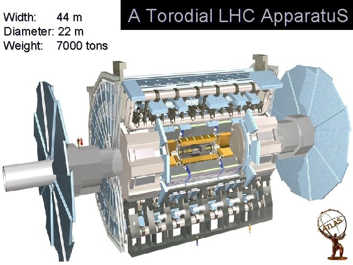 Width: 44 m Diameter: 22 m Weight: 7000 tons A Torodial LHC Apparatu. S