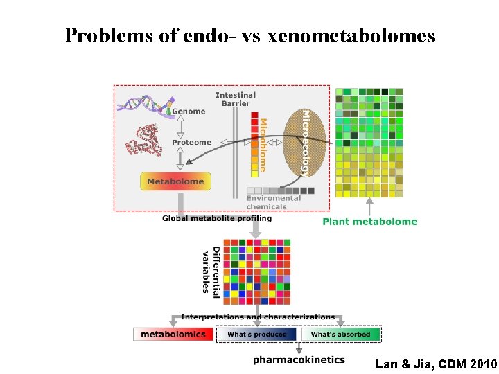 Problems of endo- vs xenometabolomes Lan & Jia, CDM 2010 