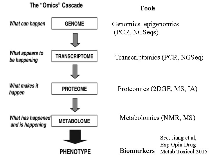 Tools Genomics, epigenomics (PCR, NGSeqs) Transcriptomics (PCR, NGSeq)s Proteomics (2 DGE, MS, IA)s Metabolomics