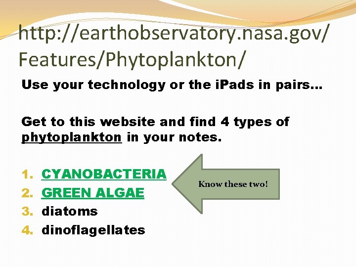 http: //earthobservatory. nasa. gov/ Features/Phytoplankton/ Use your technology or the i. Pads in pairs…