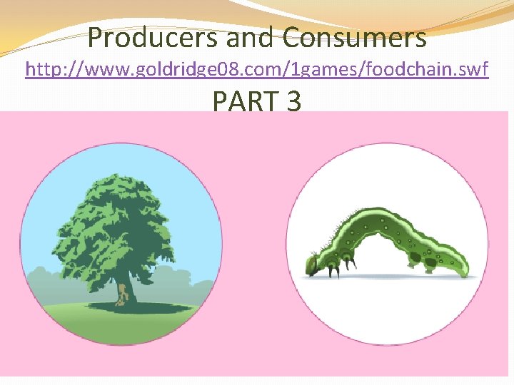 Producers and Consumers http: //www. goldridge 08. com/1 games/foodchain. swf PART 3 