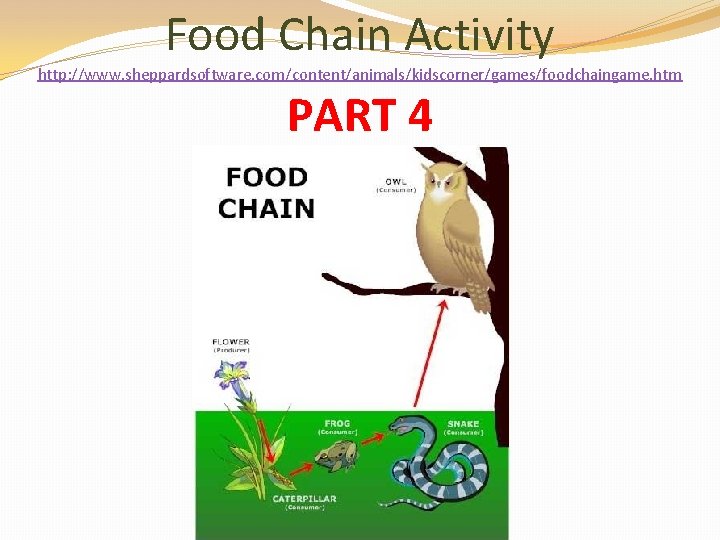 Food Chain Activity http: //www. sheppardsoftware. com/content/animals/kidscorner/games/foodchaingame. htm PART 4 